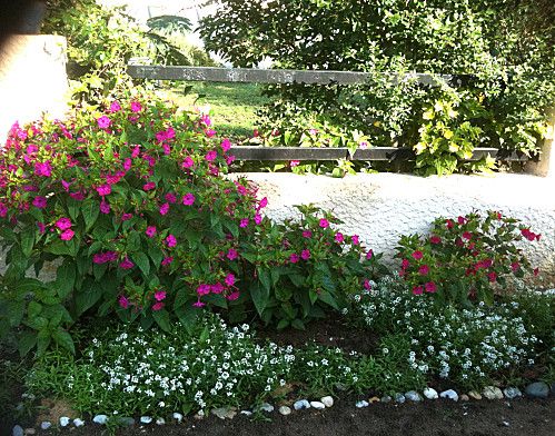 bordure-devant-2