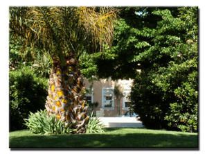 jardin.jpg