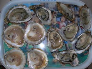 DSCN2289.JPG