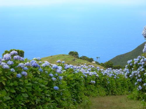 DSCN2782.JPG