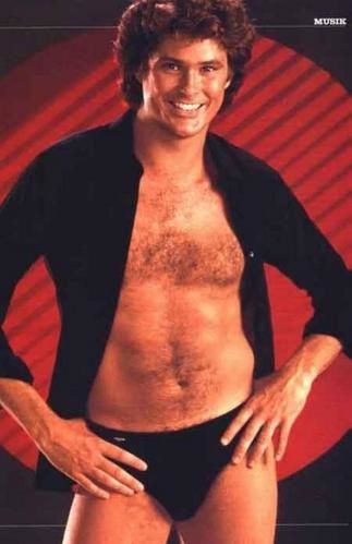 the-hoff.jpg