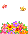 3-copie-2.gif