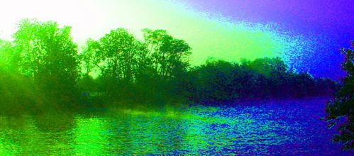 S5001828a.jpg