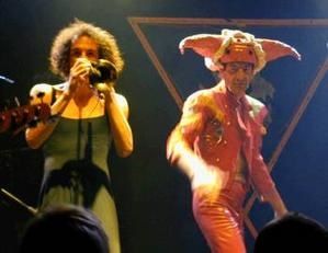 raoul79.jpg