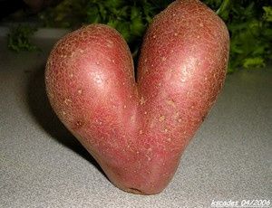 patate-coeur.jpg