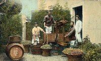 vinho-Madeira-Lagar-1910s.jpg