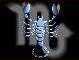 06---scorpion.jpg