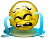 msn-smiley-pleure-copie-1.gif