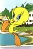 tweety8.jpg