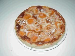 clafoutis-au-abricots.JPG