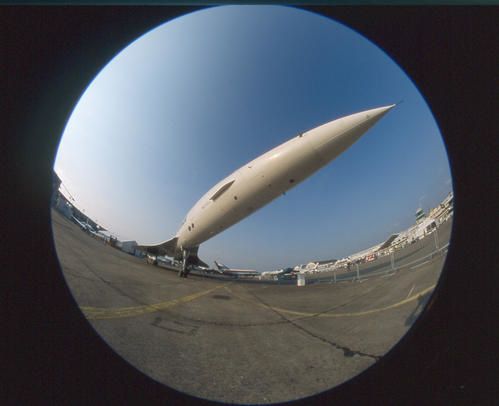 fish-eye-1.jpg
