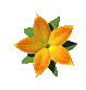 3153-copie-1.gif