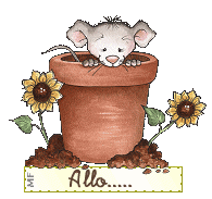 alloaut.gif
