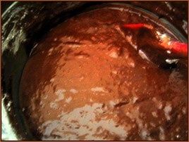 b-cake-choco-sel.13x2.jpg