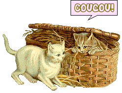 coucou-minu.png