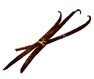 gousse.gif