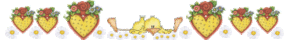 ligne-canard.gif