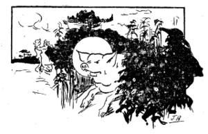 09-Dens-lou-turguet.jpg