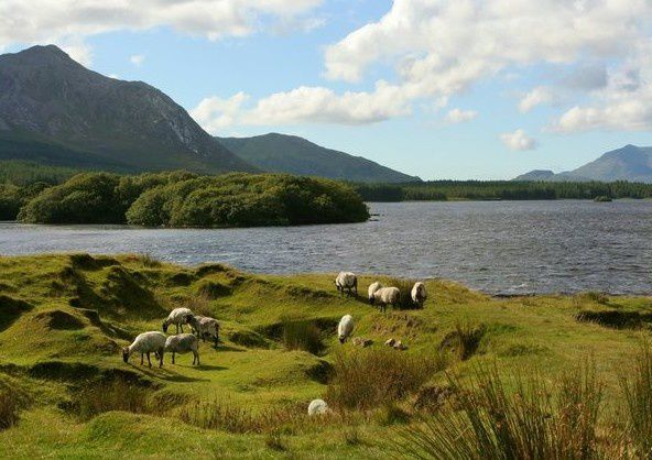 paysage-irlandaise.jpg