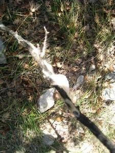 IMG_1673.jpg