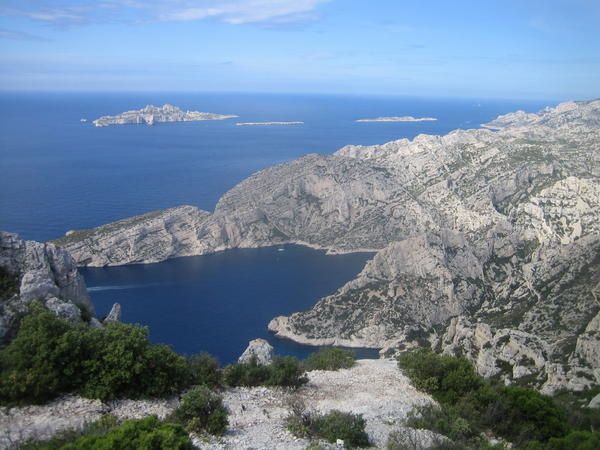 IMG-2968.jpg