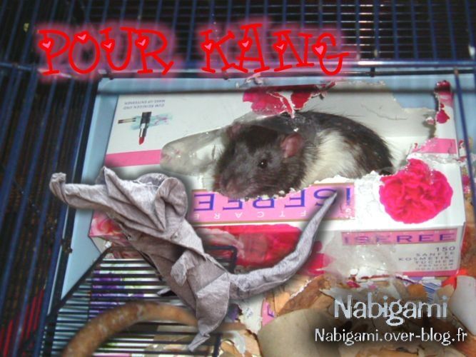 Hommage à Kang.jpg