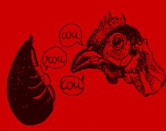 poule.jpg