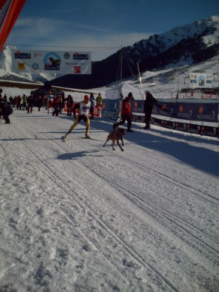 traulle_2009.jpg