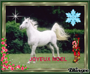 CARTE JOYEUX NOEL CHEVAL BLANC - womancreation
