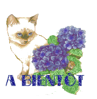 13D7zAbientot-copie-1.gif