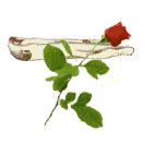 bonjour_rose.gif