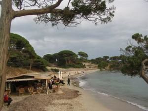 CORSE-2007-084-PALOMBAGGIA.jpg