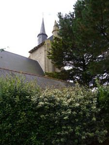 IMGP1113.JPG