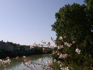 IMGP1205.JPG