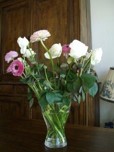 IMGP2137.JPG
