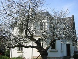 IMG_6385.JPG