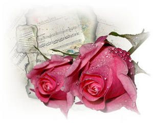 roses-copie-1.jpg
