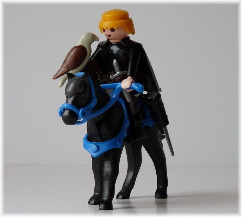 LadyHawke2