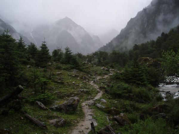 paysage1.jpg