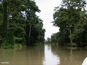Costa-Rica-2--me-carte-010-copie-1.jpg