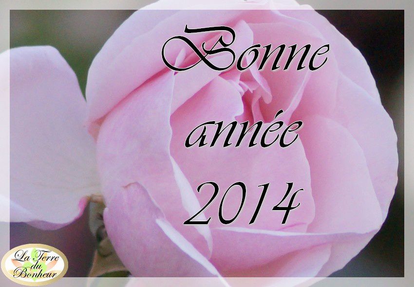 bonne-annee-2014.jpg