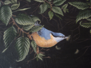 DSC00136-copie-1.gif