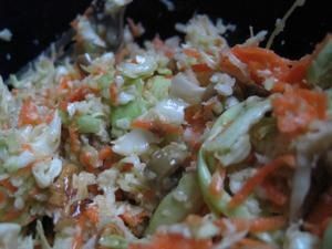chou-carottes-bis.jpg