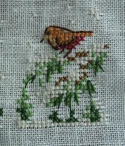 carte-xxx-oiseau.jpg