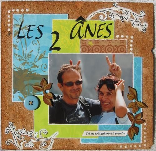 les-2--nes-copie-2.JPG