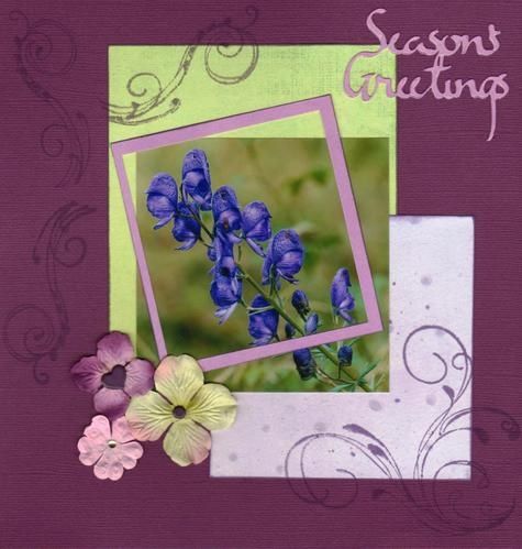 saisongreating-copie-1.jpg