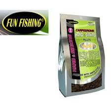 fun-fishing.jpeg