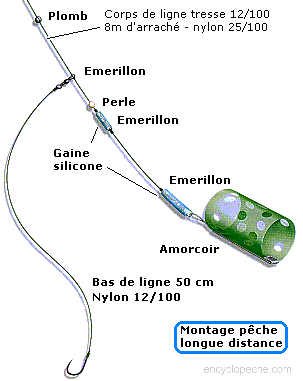 Cannes pêche feeder, méthod feeder, quiver tip, picker