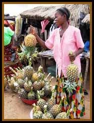 ANANAS.jpg
