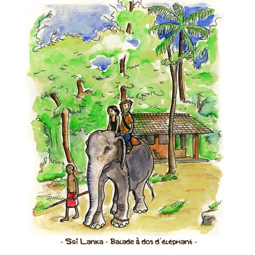 aquarelle-choses-srilanka500.jpg